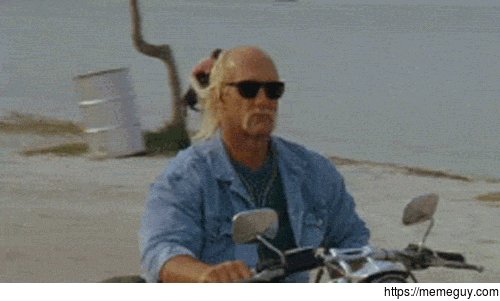 Hulk Hogan riding a motorcycle while a guy in the background throws a dog  into the ocean - Meme Guy