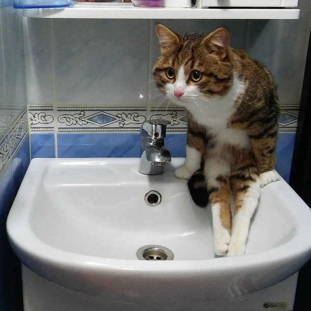 Human can you turn on water please