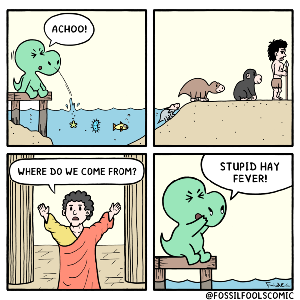 Human evolution