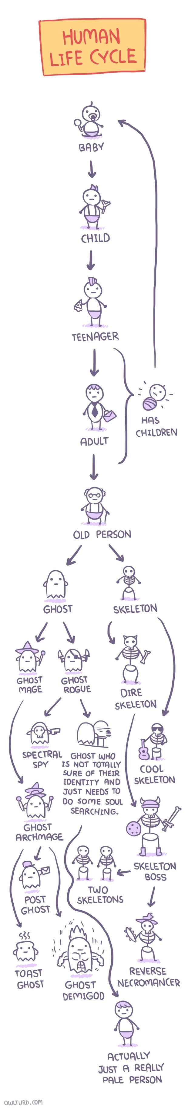 Human extended Life Cycle