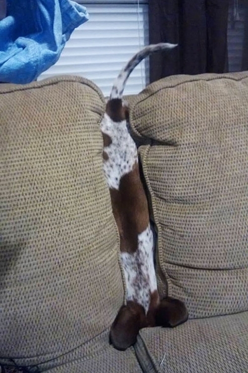 Human I could use your help