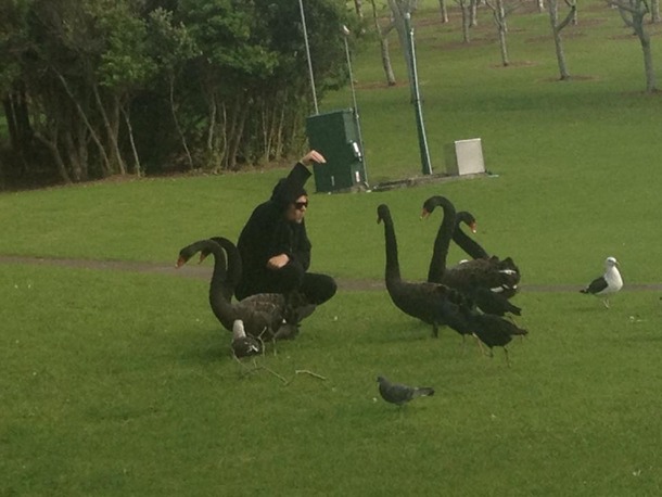 Human life brought me down So I became a swan