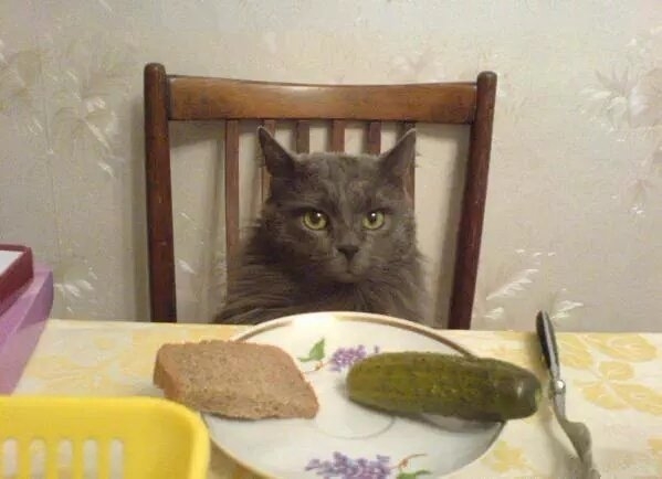 Human we need to talk