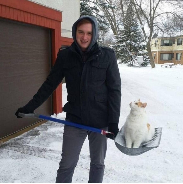 Human why did you stop Continue to carry me around