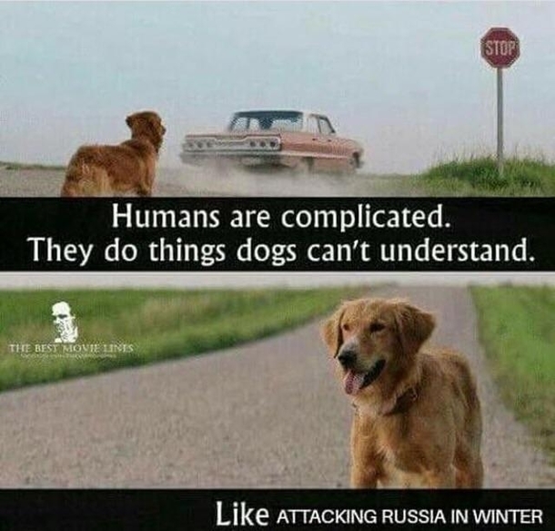 humans can be tricky