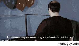 Humans impersonating viral animals videos