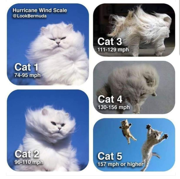 Hurricane Categories Explained