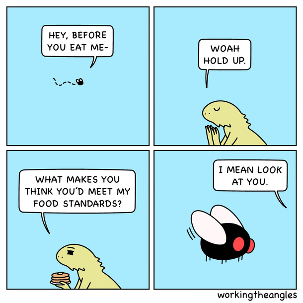 Hurt A Fly