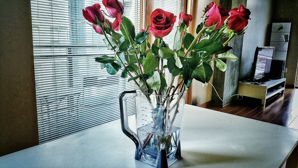 Husband brought me flowers We got married at the courthouse and a blender was the only wedding gift we got