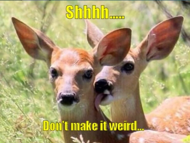 Hush now