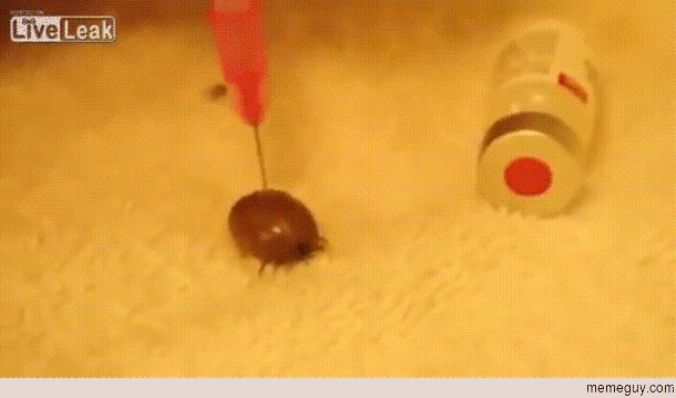 Hydrogen Peroxide kills Ticks