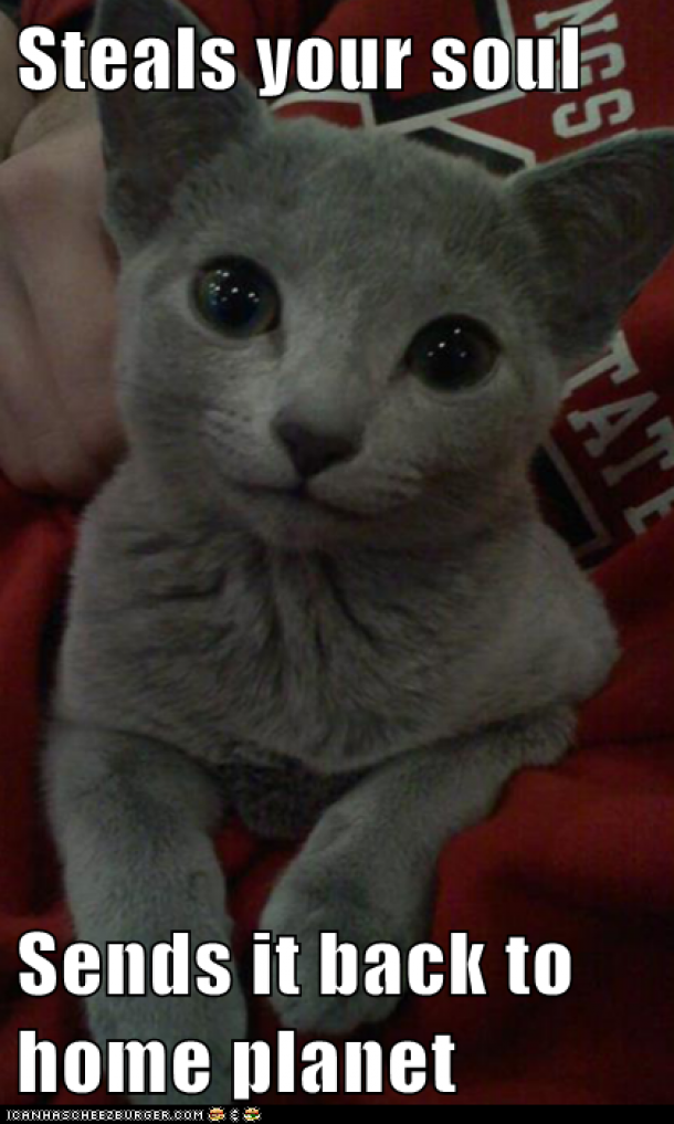 Hypnokitteh 