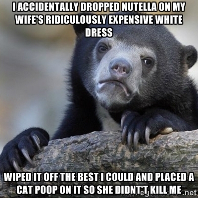 I accidentally dropped nutella on my wifes ridiculously expensive white dress