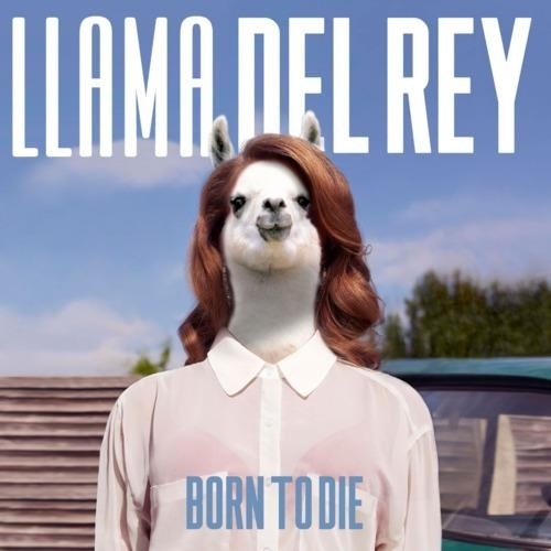 I accidentally googled Lama Del Rey I wasnt disappointed