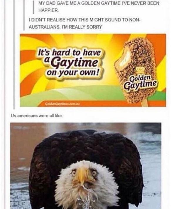 I actually love tumblr so much