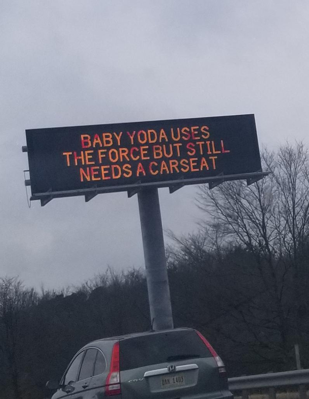 I almost died to take this picture