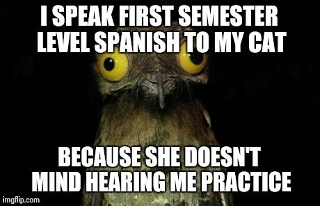 I also have an atypical method of speaking to my cat but I use mine as a learning tool