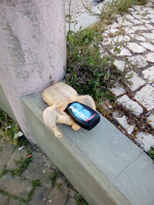I always find the weirdest shit in my neighborhood