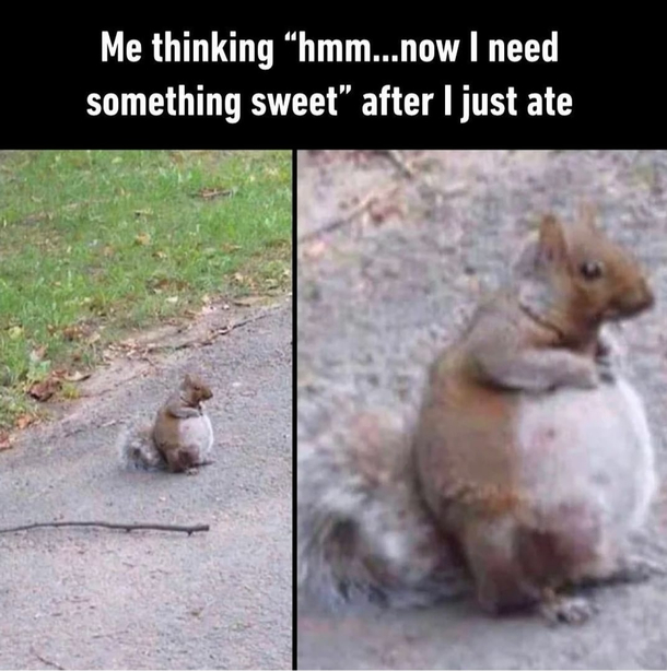 I always have room for dessert