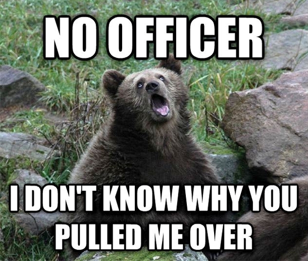 I always wanted to say this when I got pulled over