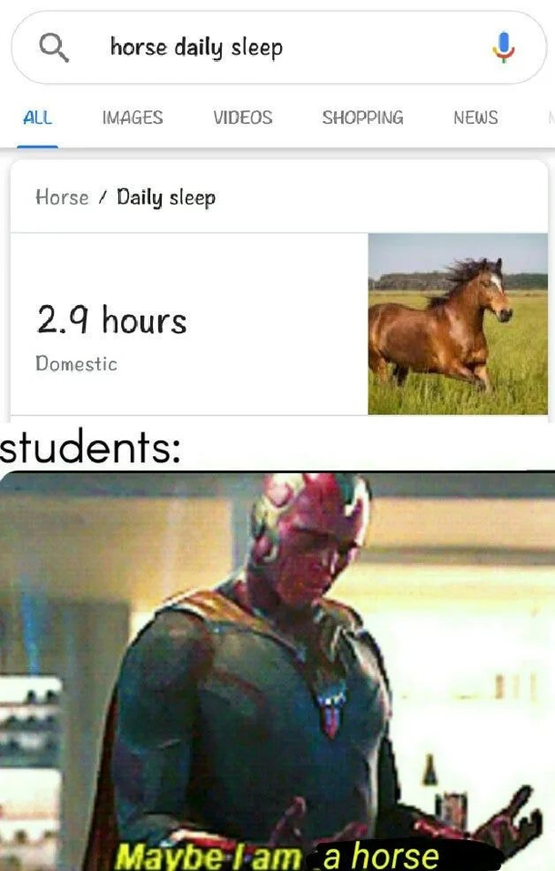 I am a horse