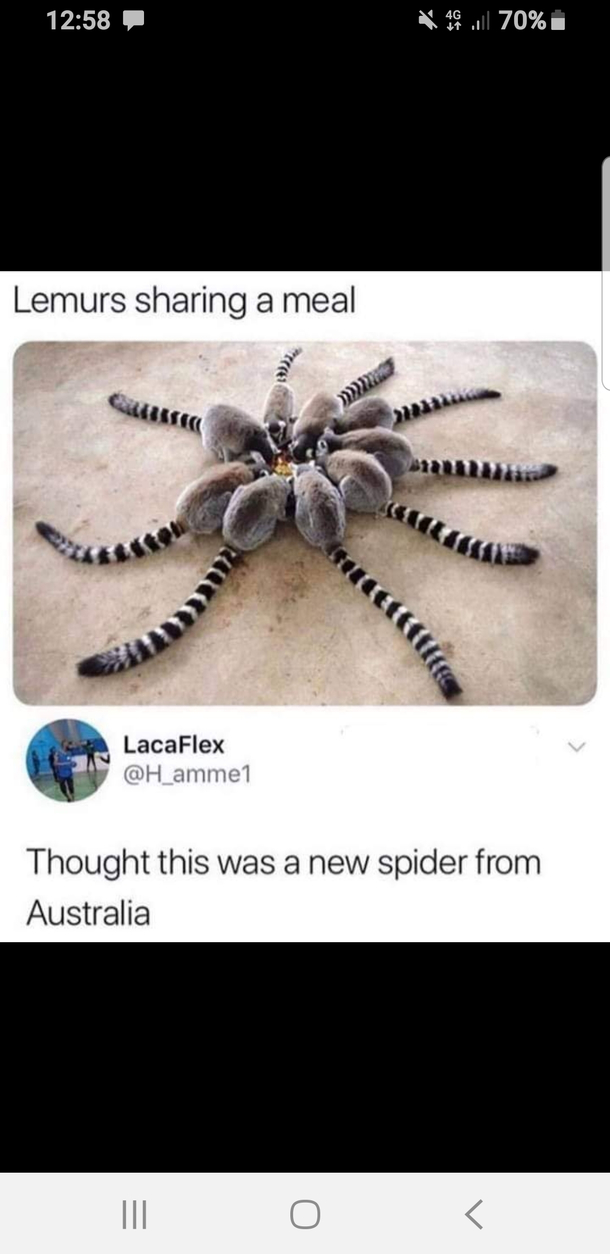 I am from Australia and tbh at glance the same thought crossed my mind