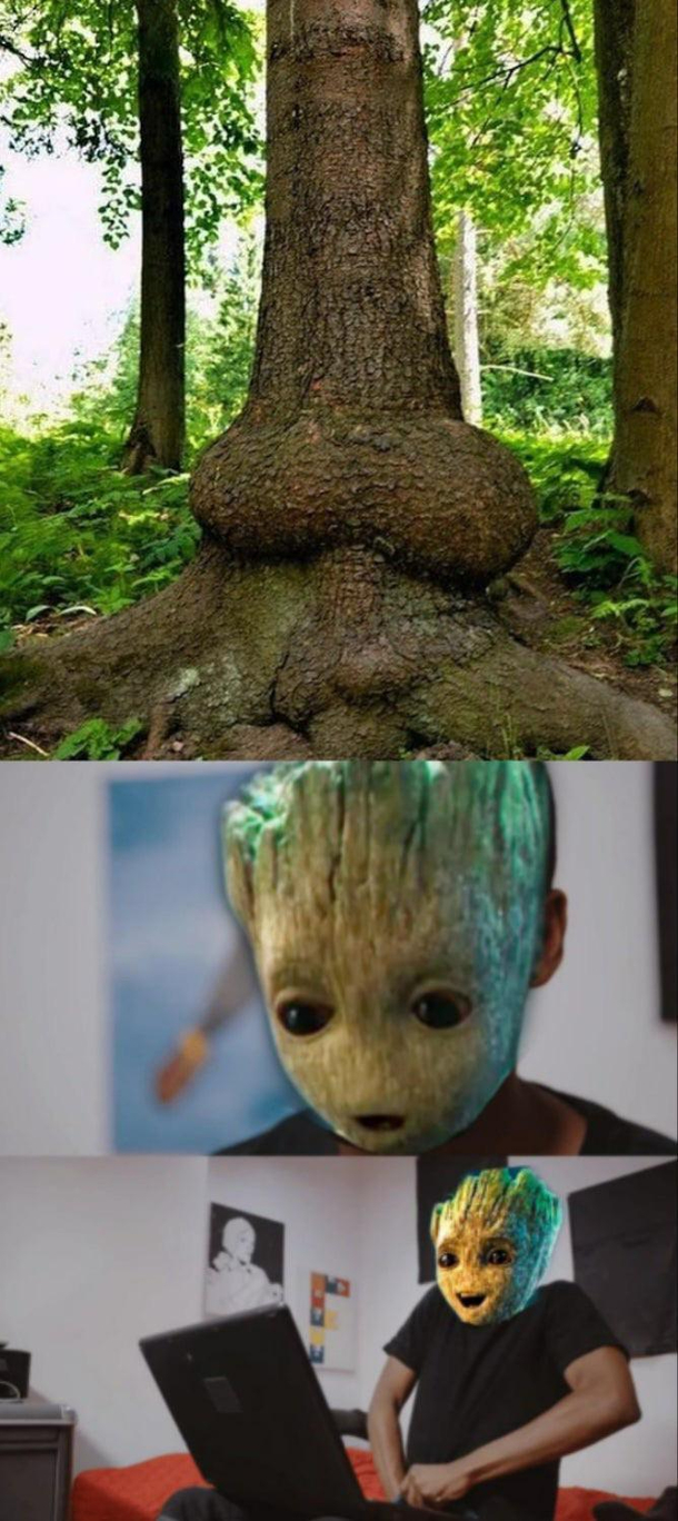 I AM GRO