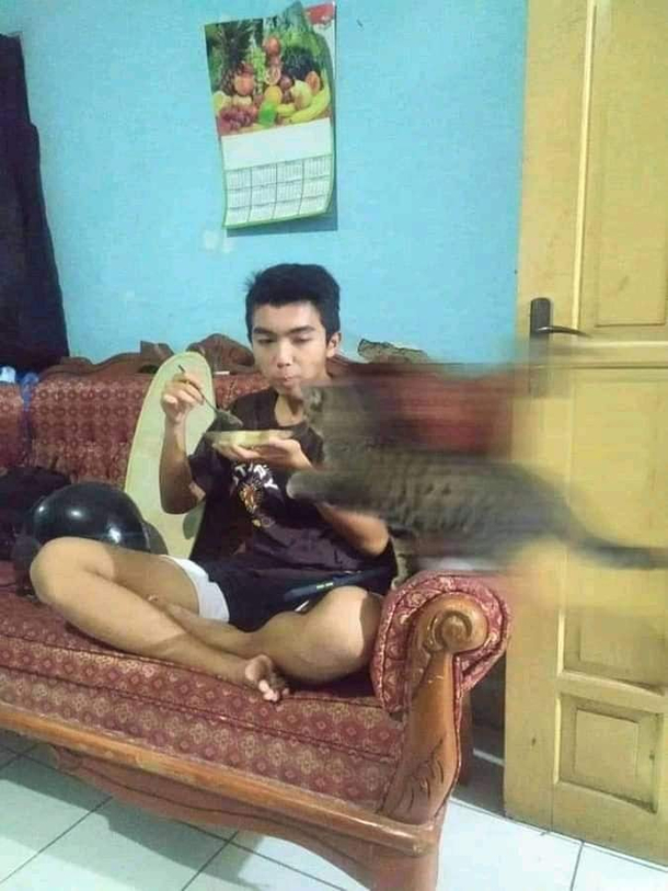 I am speed