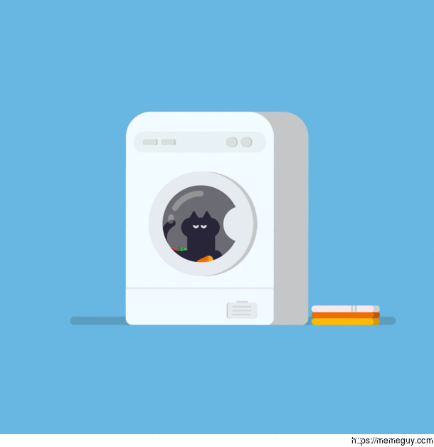 I animated this little cat gif