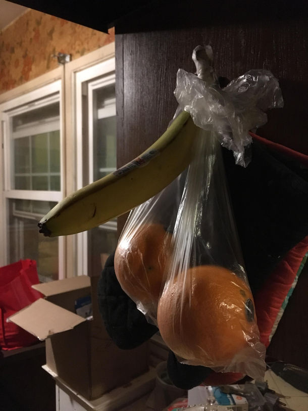 I artfully arrange our fruit at night for my wife to find in the morning