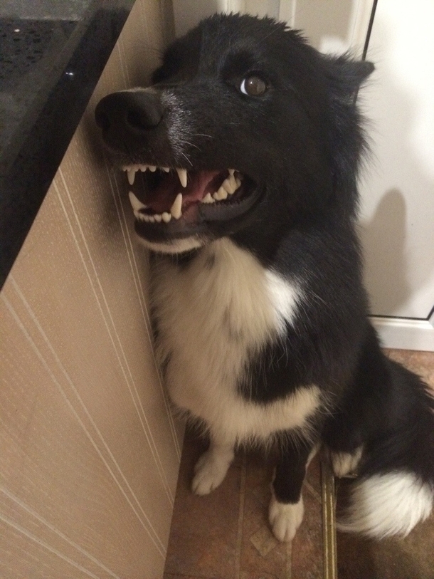 I asked her to smile for the camera