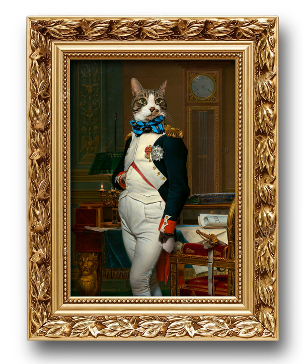 I Asked rpicrequests for a pic of my cat as Napoleon utaxisto Delivered amazing results