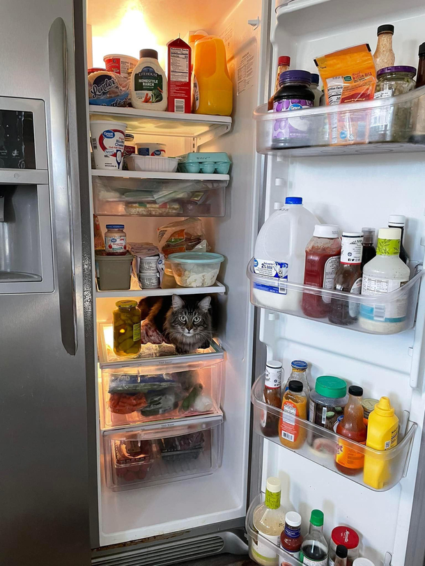 I asked you nicely to turn the AC down
