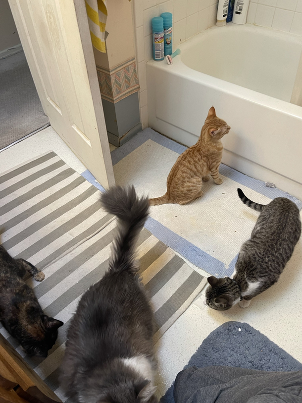 I assume everybody else goes to the bathroom like this as well