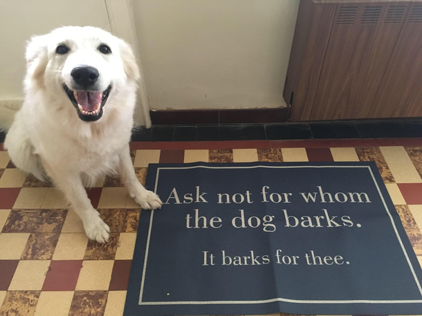 I bark therefore I am