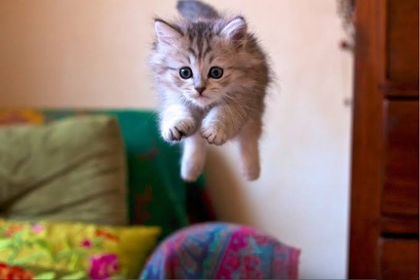 I believe i can fly