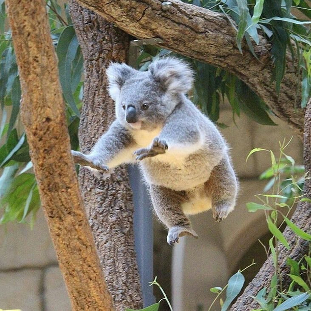 I believe I can fly