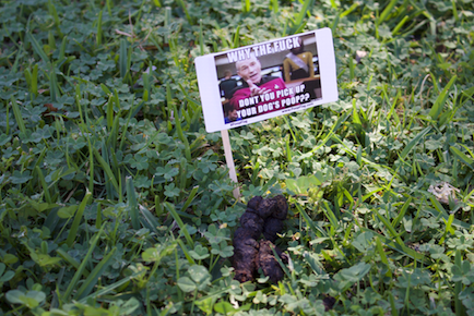 I believe my neighbor is tired of your dogs shit and on Reddit