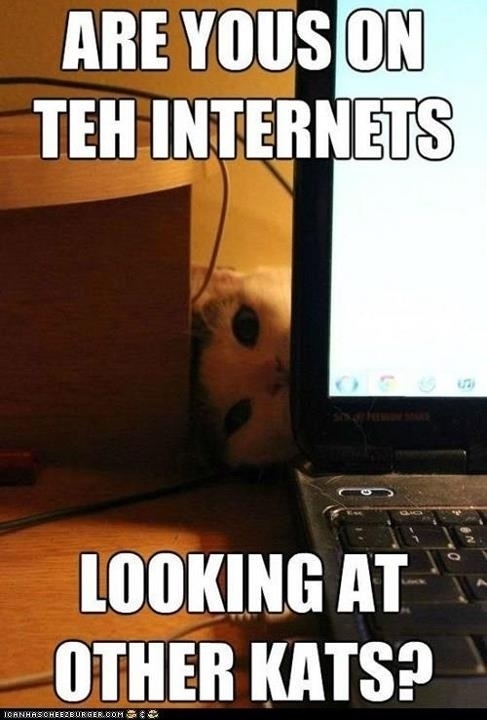 I believe this applies to most animals but especially cats