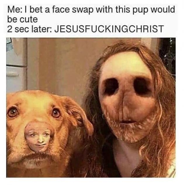 I bet a face swap with this pup would be cute