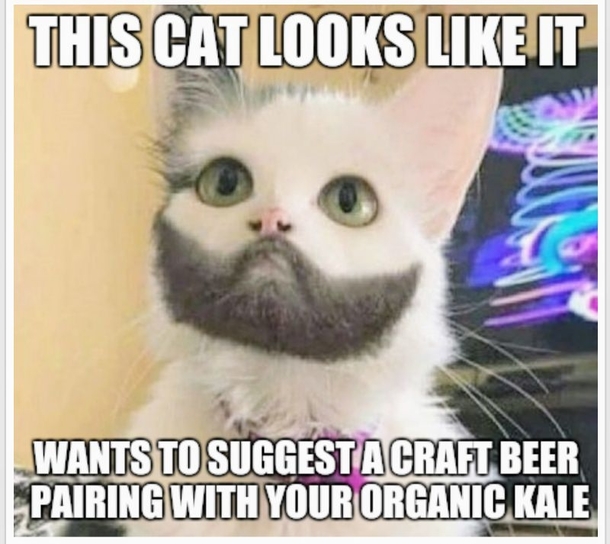 I bet he vapes catnip