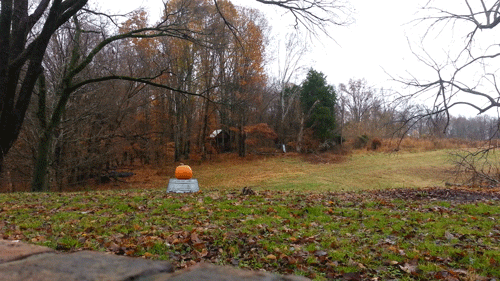 I blew up a pumpkin