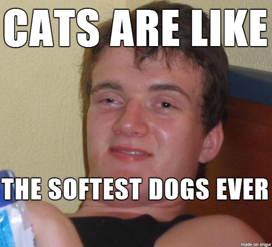 I blurted this out while petting a friends cat