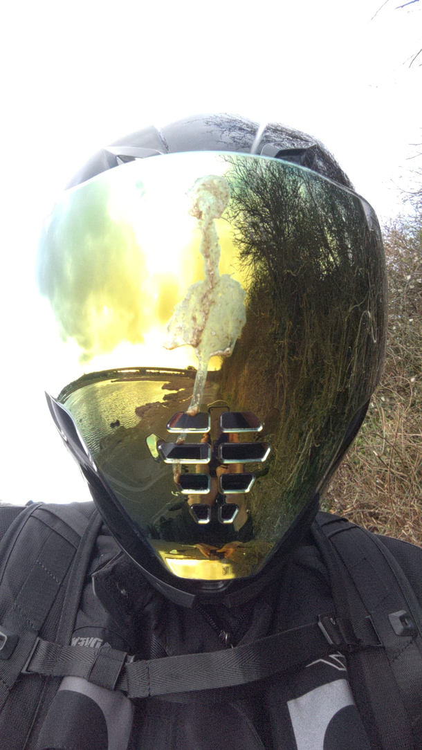 I bought a new visor its called Shitfromskyzor