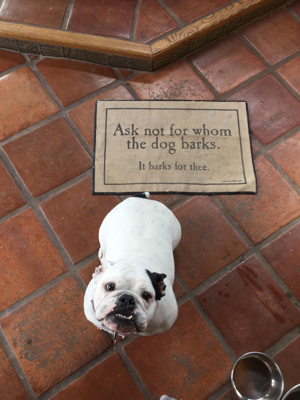 I bought that same mat for my mom for xmas I raise you one English bulldog