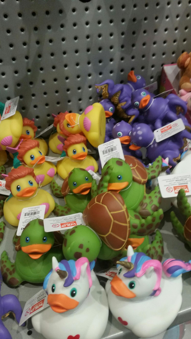 I bring you the mermaid duck and the unicorn duck and the squid duck and the turtle duck