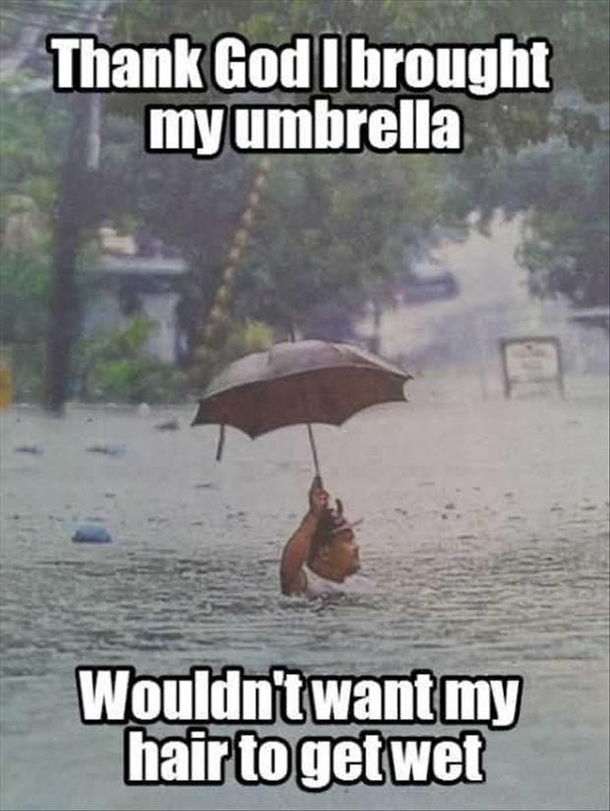 i-brought-my-umbrella-299461.jpg