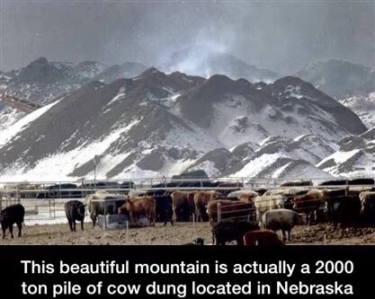 I call bullshit