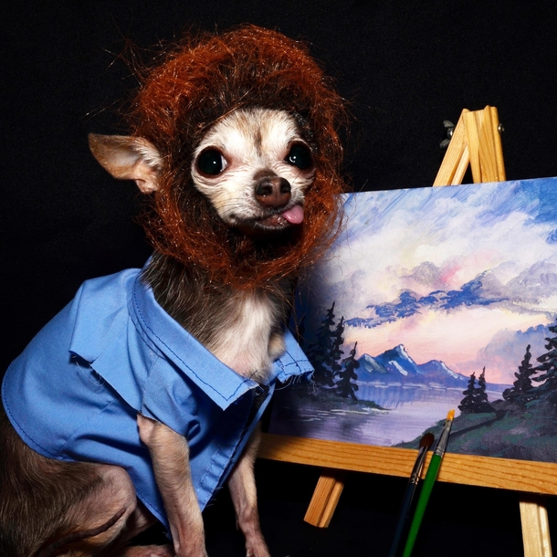 I came across Dog Ross today