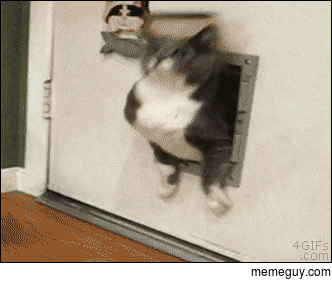I can fits